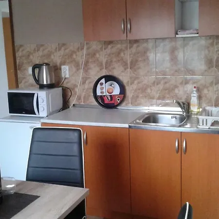 Guest house Ana 3*
