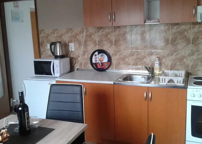 Πανσιόν Ana 3*